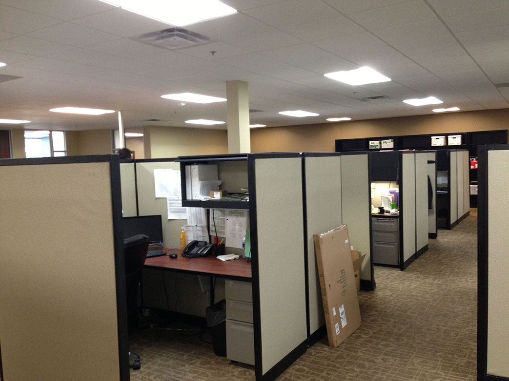 An office full of modern cubicles 